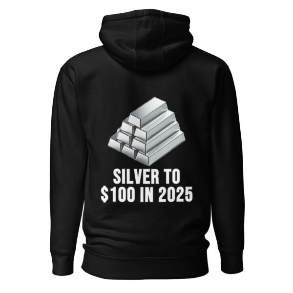 "Silver To $100 In 2025" Premium Hoodie