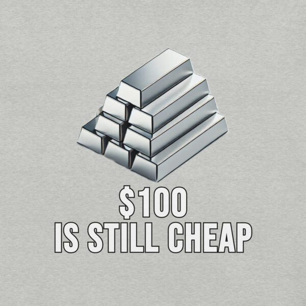 "$100 Is Still Cheap" - Premium T-Shirt - Image 430