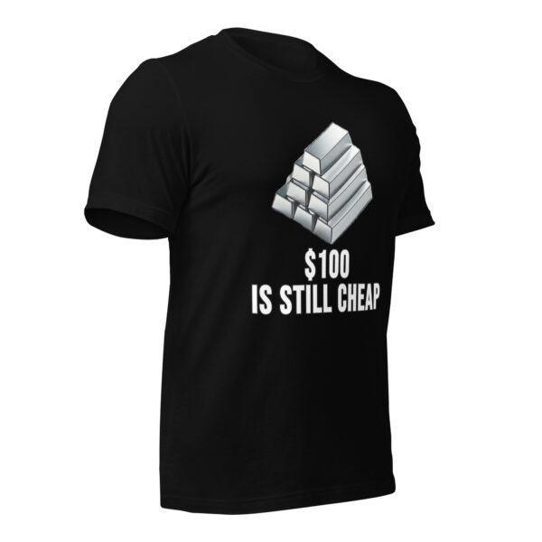 "$100 Is Still Cheap" - Premium T-Shirt - Image 39